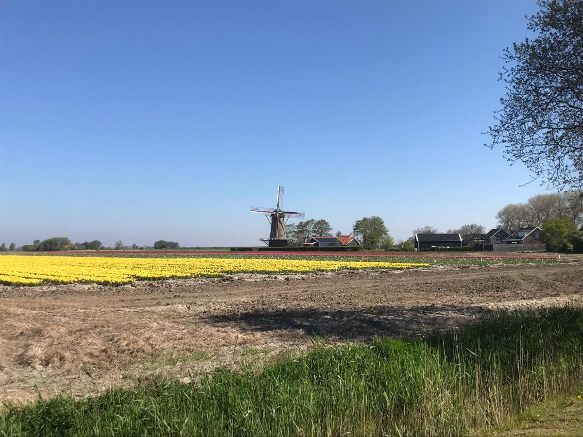 In De Gele Mooie Met Fantastisch Uitzicht