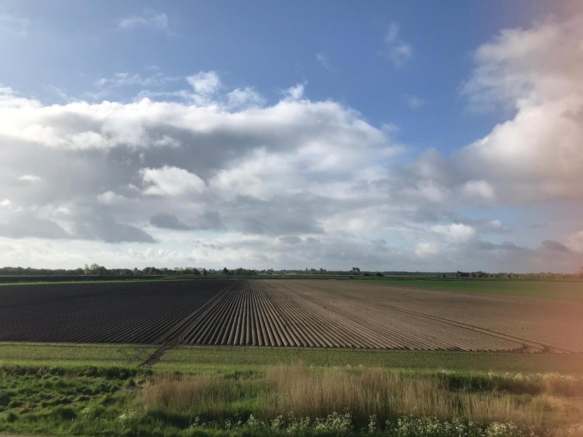 In De Gele Mooie Met Fantastisch Uitzicht Zonnemaire