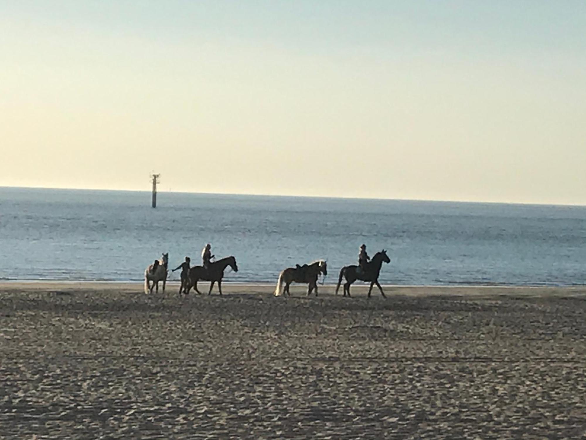 In De Gele Mooie Met Fantastisch Uitzicht Zonnemaire